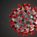 Coronavirus trapiantati